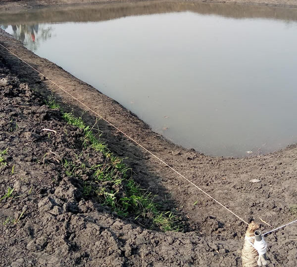 pond development